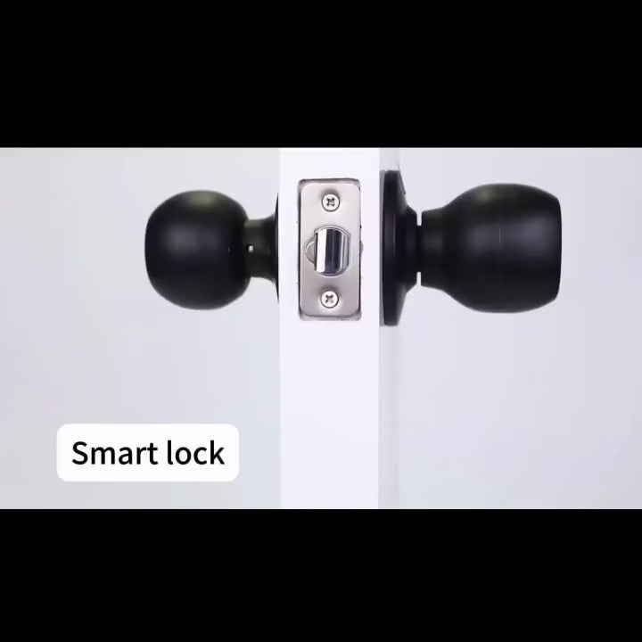 NorthKey WF33 Smart Lock – Bluetooth Fingerprint Keyless Entry Knob